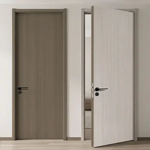 Interior apartment door